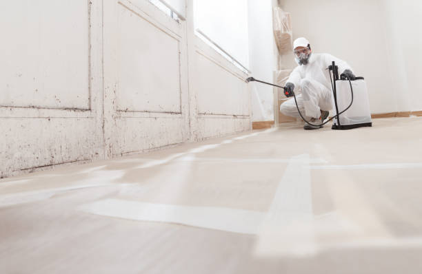 Black mold remediation team in Richardsville